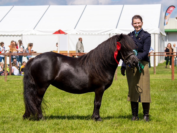 Hools Janet 2016 Royal Highland Show