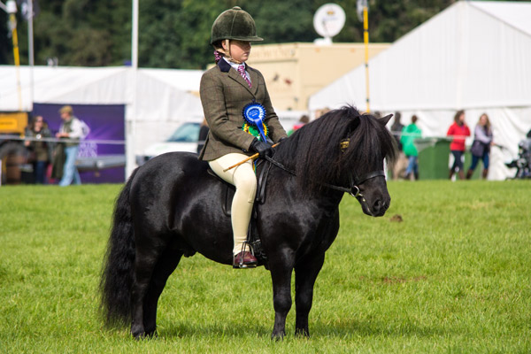 Hools Rising High at Blair International Horse Trials 2016