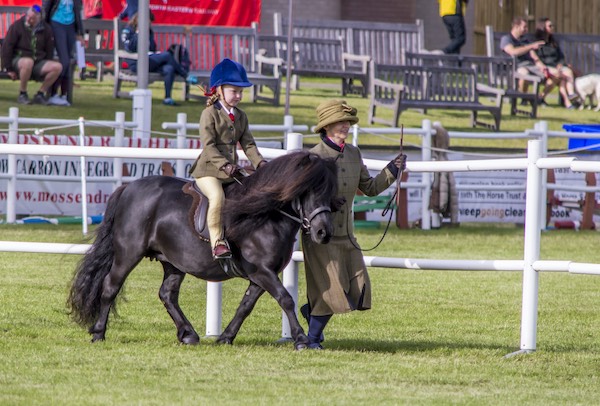 Hools Janet 2019 Royal Highland Show Lead Rein