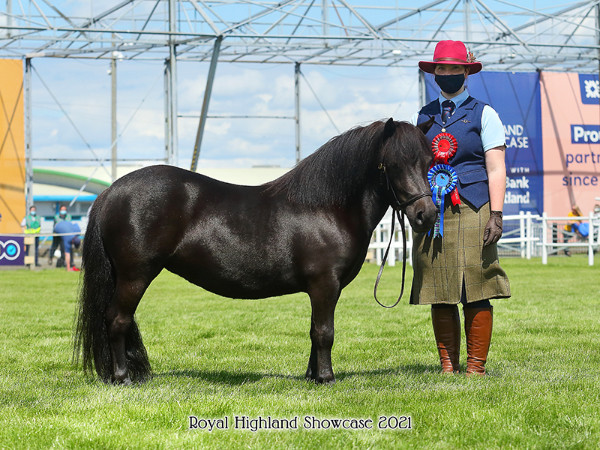 Hools Miss Jura Royal Highland Show 2021