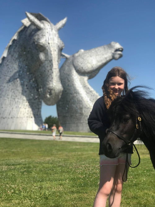 Hools Shetlands Kelpies Falkirk