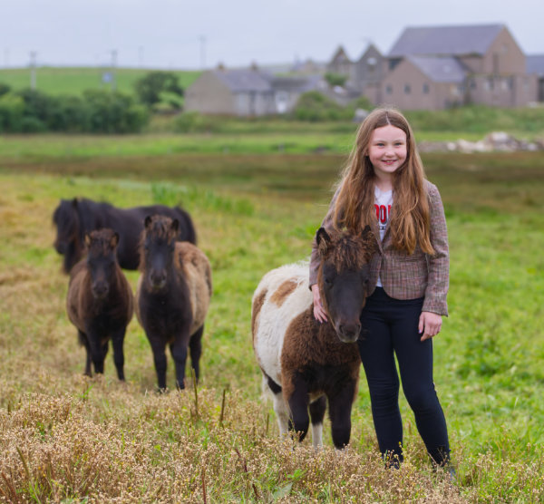 Piebald Shetland Pony