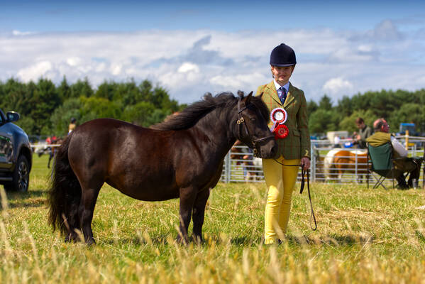Young Handler Shetland Pony