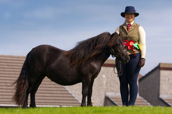 Hools Je t'aime shetland pony filly